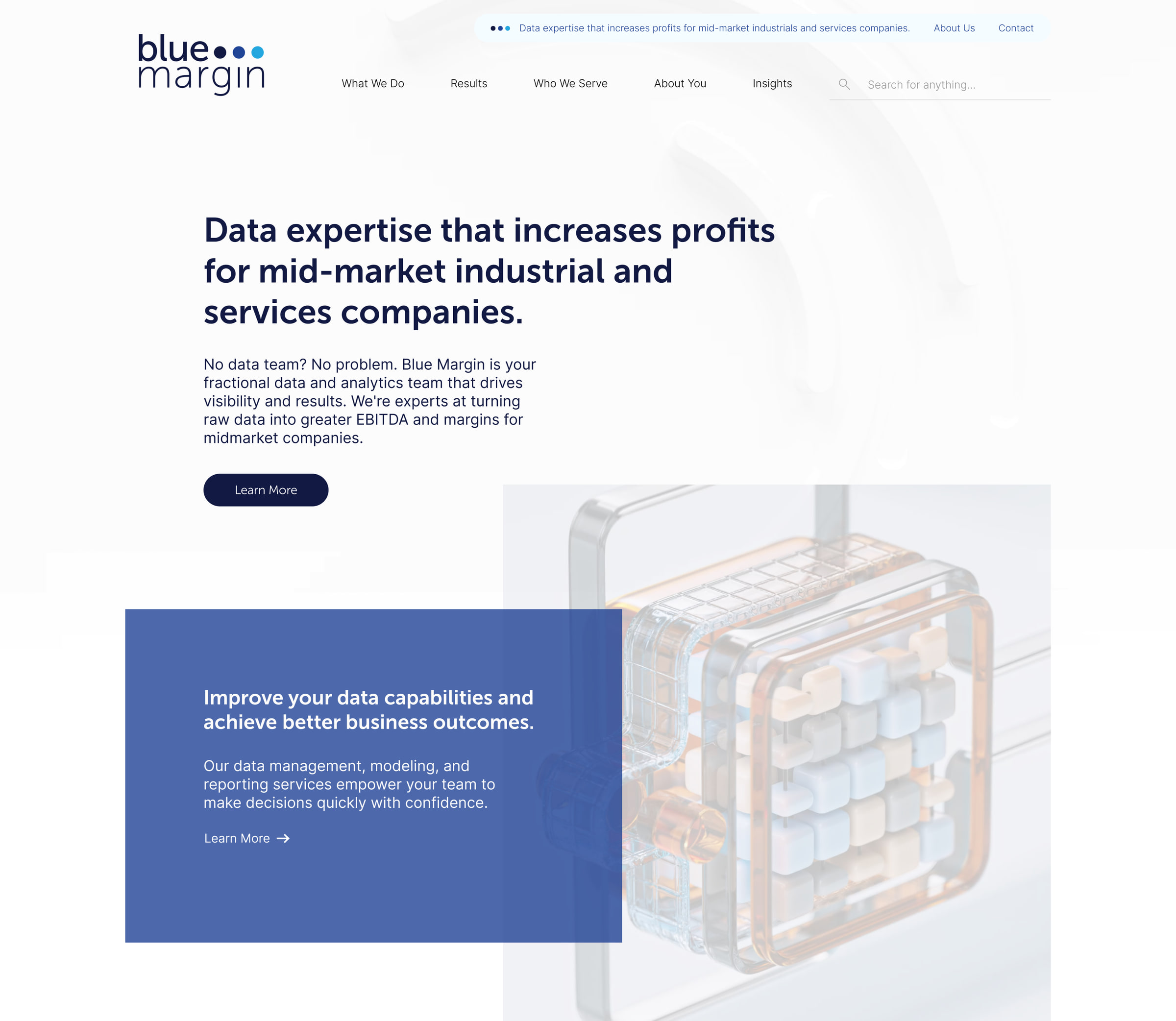 The Blue Margin homepage hero: the headline 'Data expertise that increases profits for mid-market industrial and services companies' beside a translucent data render, on white