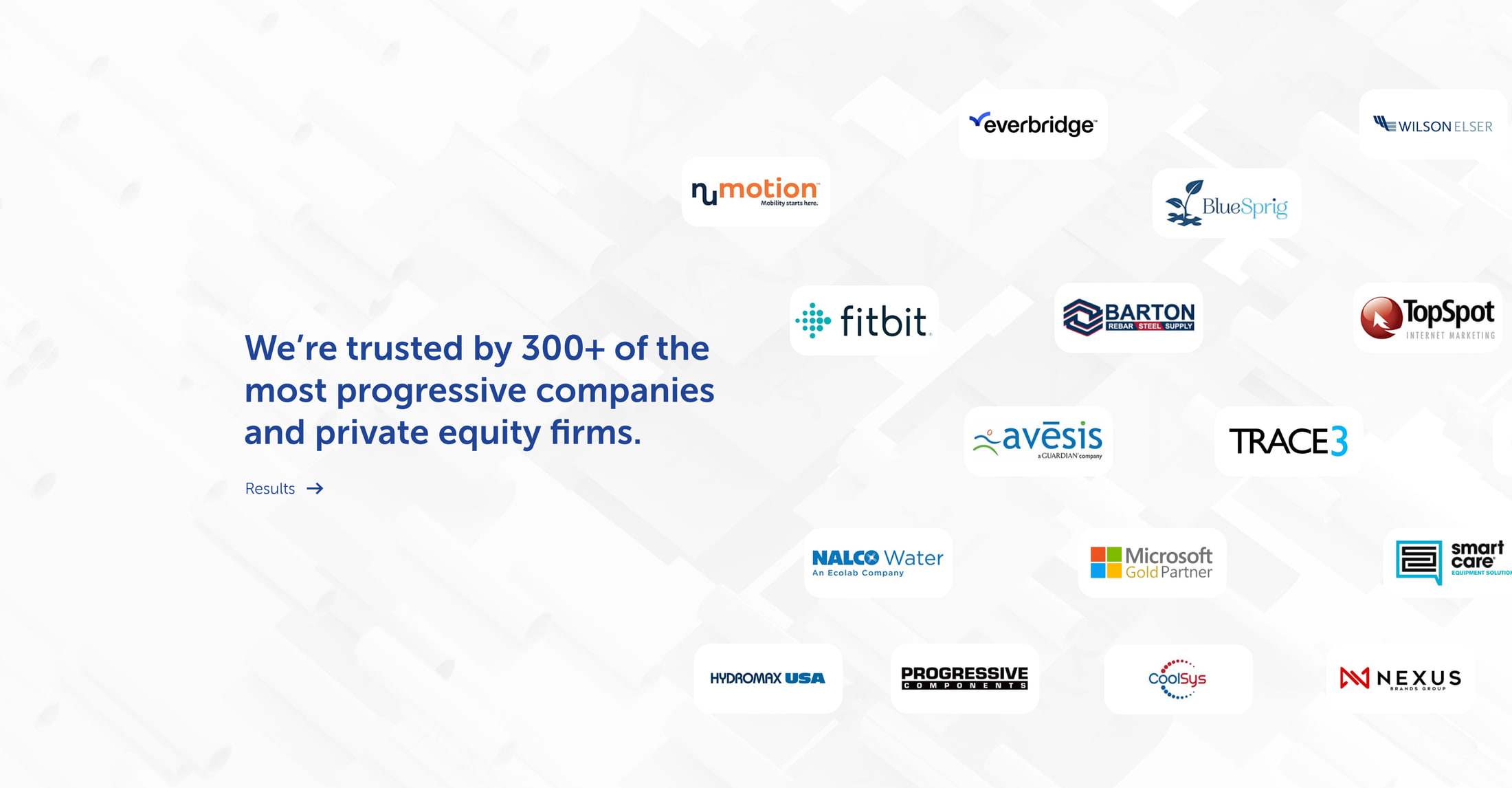 The Blue Margin proof wall: 'We're trusted by 300+ of the most progressive companies and private equity firms' beside a grid of real client logos